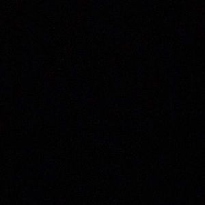 Meet your Posher, Dennis